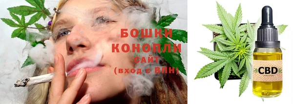 индика Белоозёрский