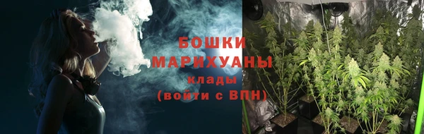 эйфоретик Белокуриха
