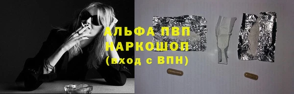 индика Белоозёрский