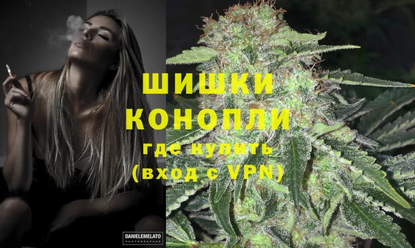 эйфоретик Белокуриха