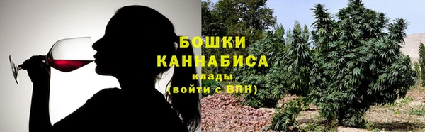 эйфоретик Белокуриха