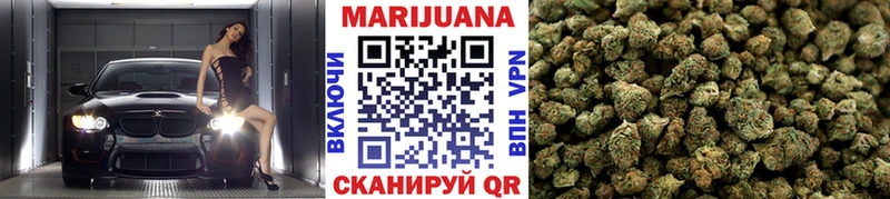 Конопля марихуана  цены   Светлогорск 